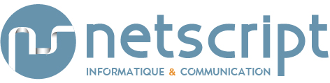 Site Web Liège Logo Netscript